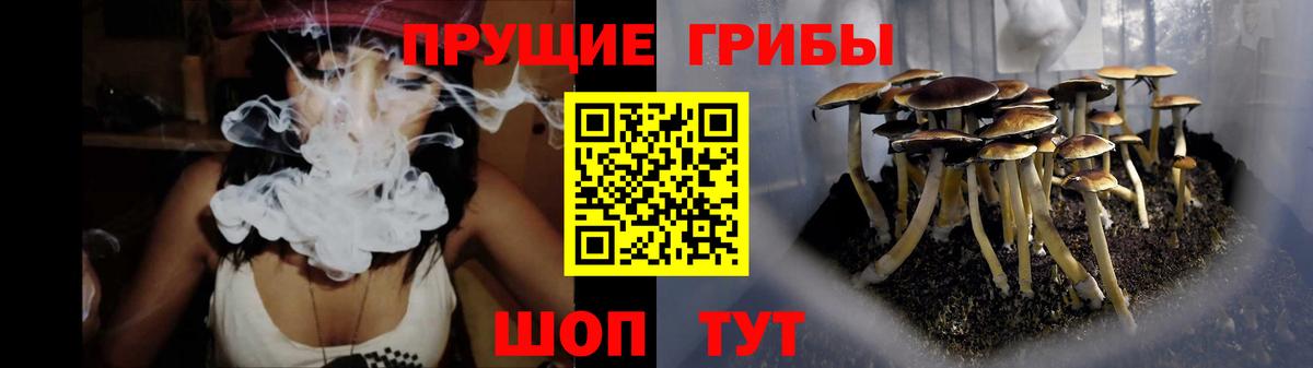 Псилоцибиновые грибы мухоморы  Псилоцибиновые грибы ЛСД  Вход с VPN  Рузаевка 